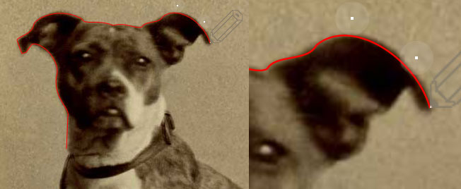 Tracing a picture of my dog
with a Graphics path